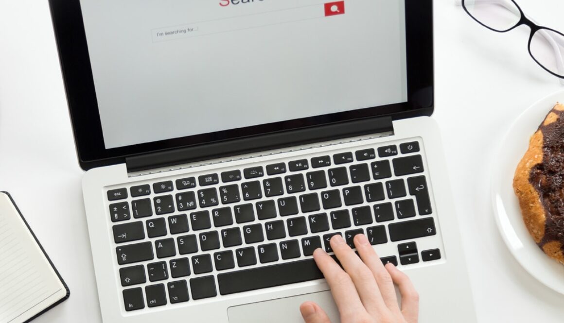 Top Search Engine Ranking rapidpage